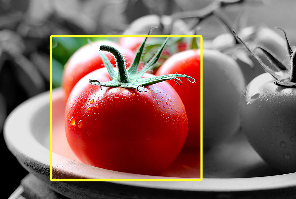 AI bounding-box identifying a tomato among other produce.